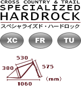 クロカンとツーリング