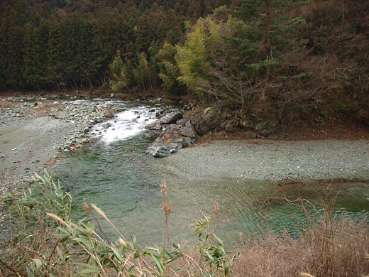 加茂川上流