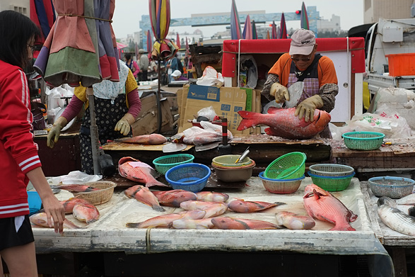 澎湖の魚市場