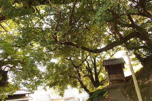 伯方島 三島神社