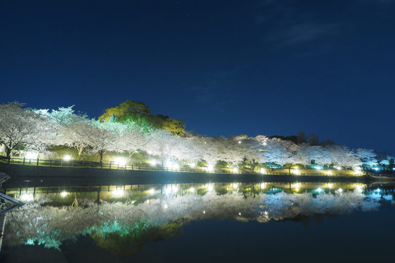 投稿についてもっと詳しく E-M1 初代のシャッター修理完了
