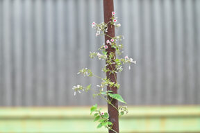 投稿についてもっと詳しく 修学旅行