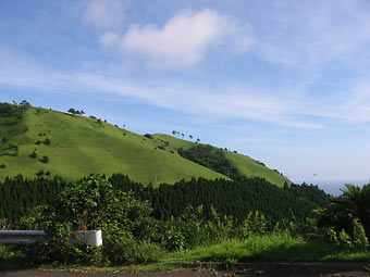 都井岬