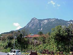 屋久島の風景