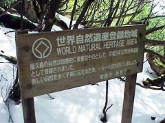 世界自然遺産登録地域